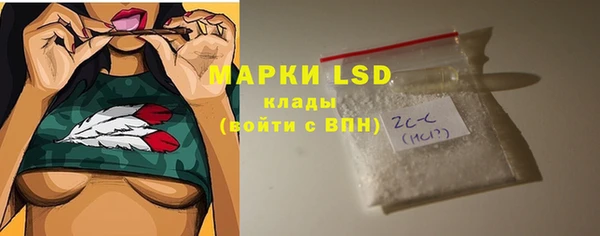 spice Аркадак