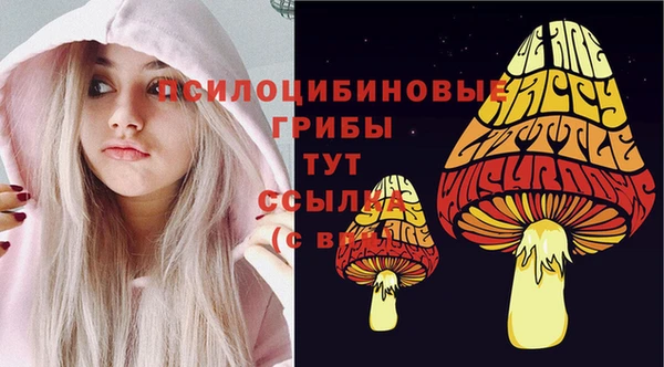 spice Аркадак