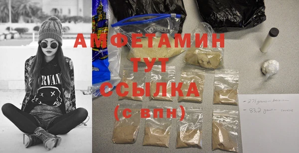 индика Балахна