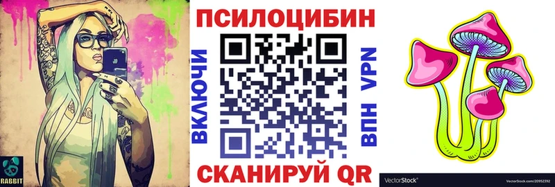 Псилоцибиновые грибы Psilocybe  Новая Усмань 