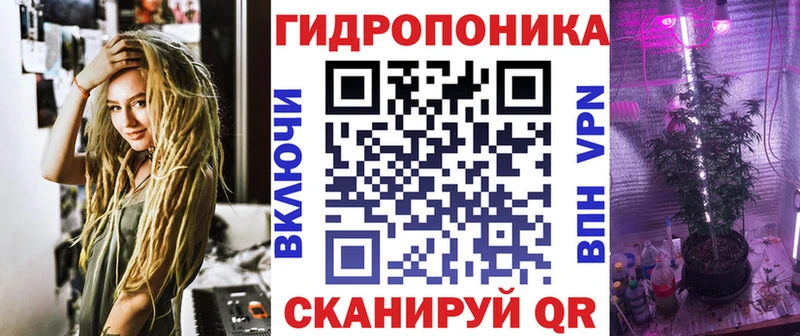 Бошки Шишки Amnesia купить Новая Усмань